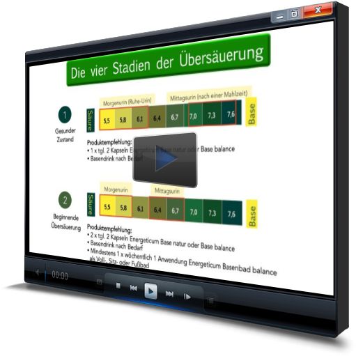Vortrag Säure-Base-Haushalt